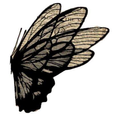 Paper Butterfly